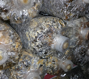 &#24320;&#20803;&#32593;&#31449;&#30331;&#24405;&#20837;&#21475;&#95;&#24320;&#20803;&#65288;&#20013;&#22269;&#65289;